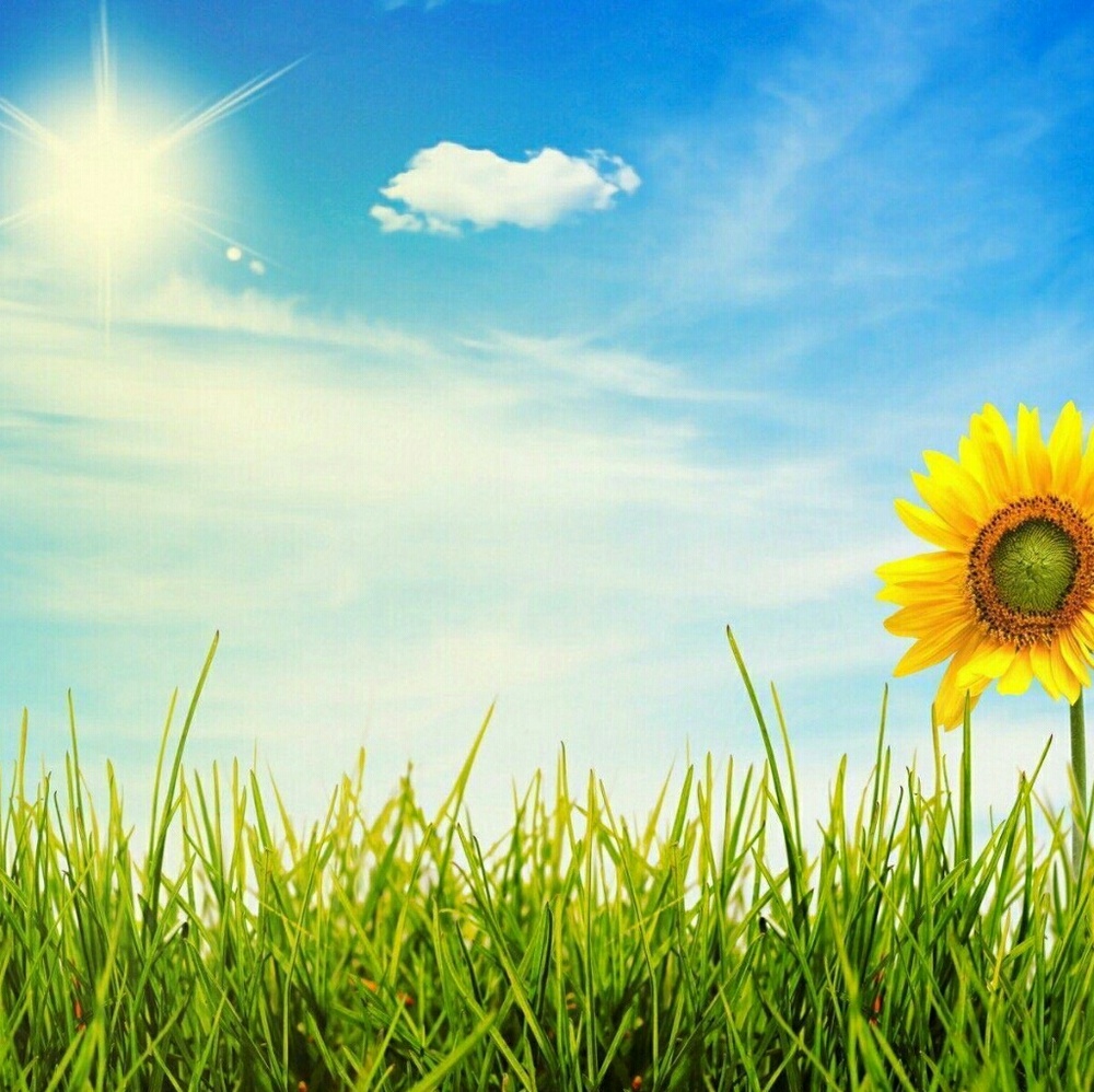 Meet your Posher, Moresunnydays